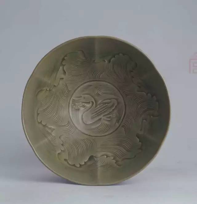 致富经海鸭养殖视频_致富经海水鸭_海水养鸭有哪些要求