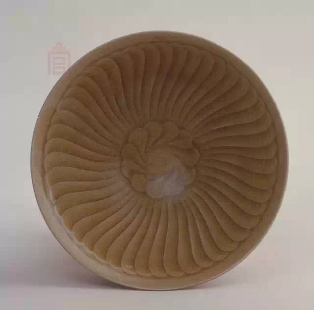 致富经海水鸭_海水养鸭有哪些要求_致富经海鸭养殖视频