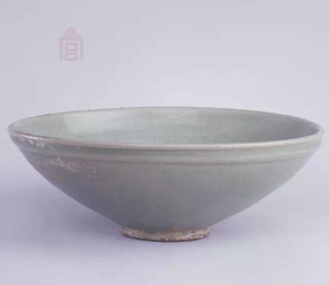 海水养鸭有哪些要求_致富经海水鸭_致富经海鸭养殖视频