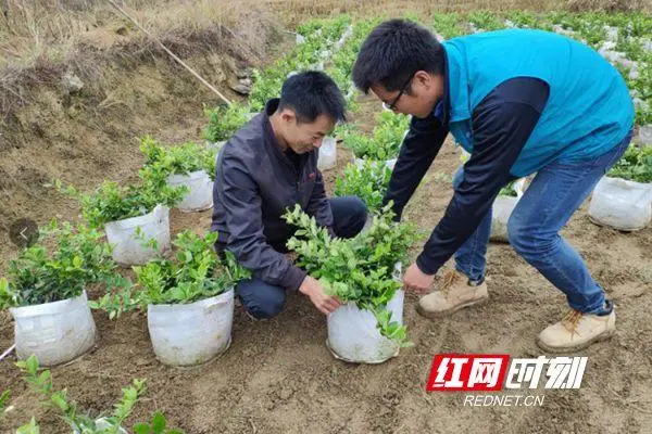 致富经官方网址_致富网致富_致富官方网址大全