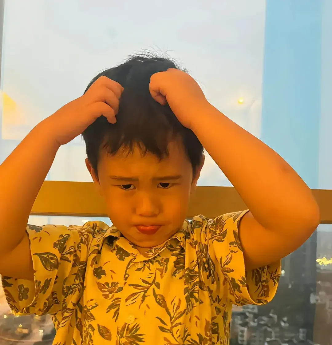 松子育苗过程_视频致富育苗松子是真的吗_致富经松子育苗视频