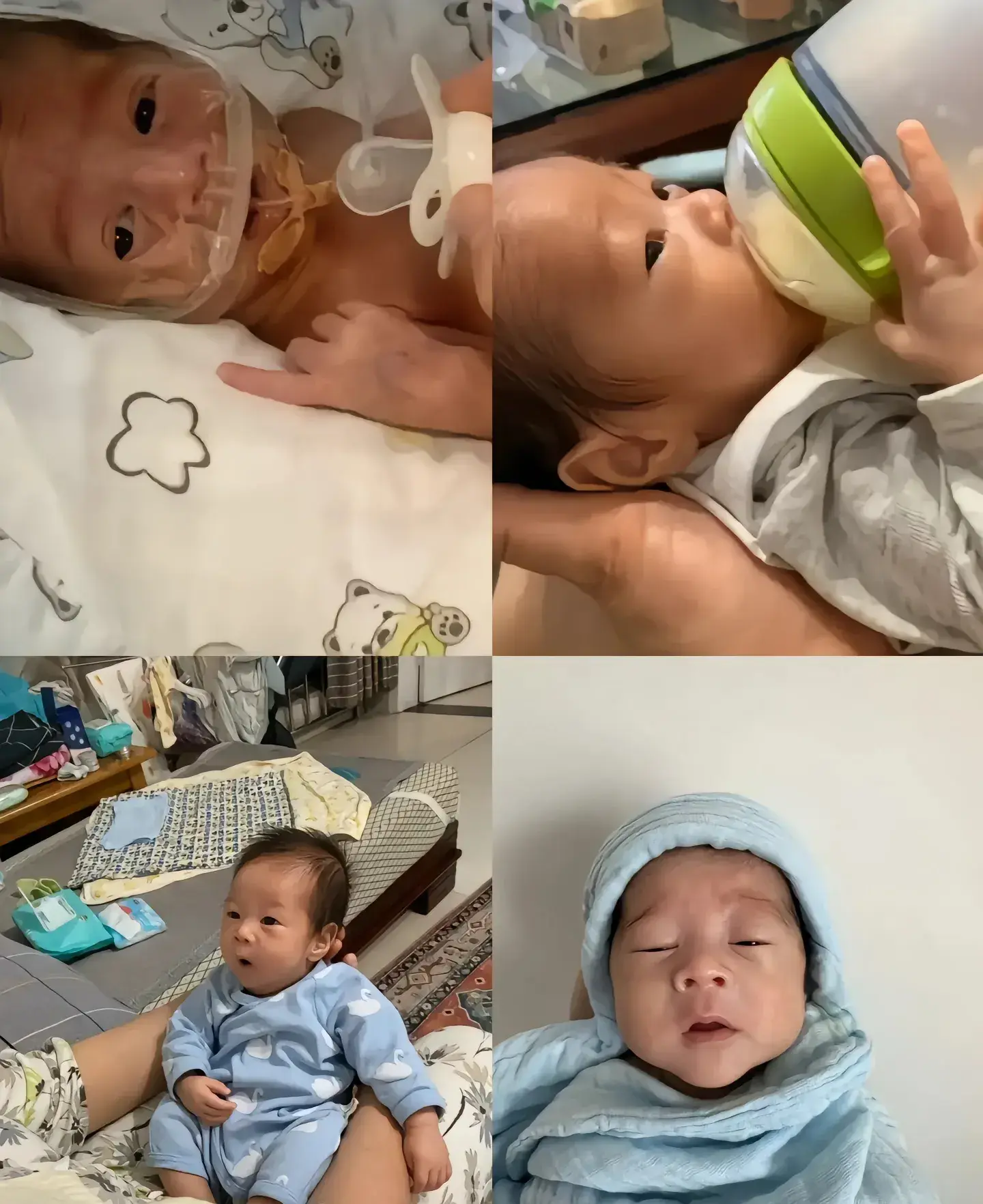 松子育苗过程_视频致富育苗松子是真的吗_致富经松子育苗视频