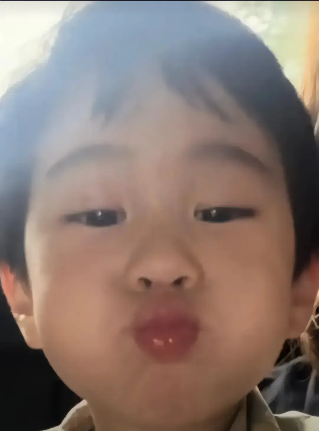 视频致富育苗松子是真的吗_致富经松子育苗视频_松子育苗过程