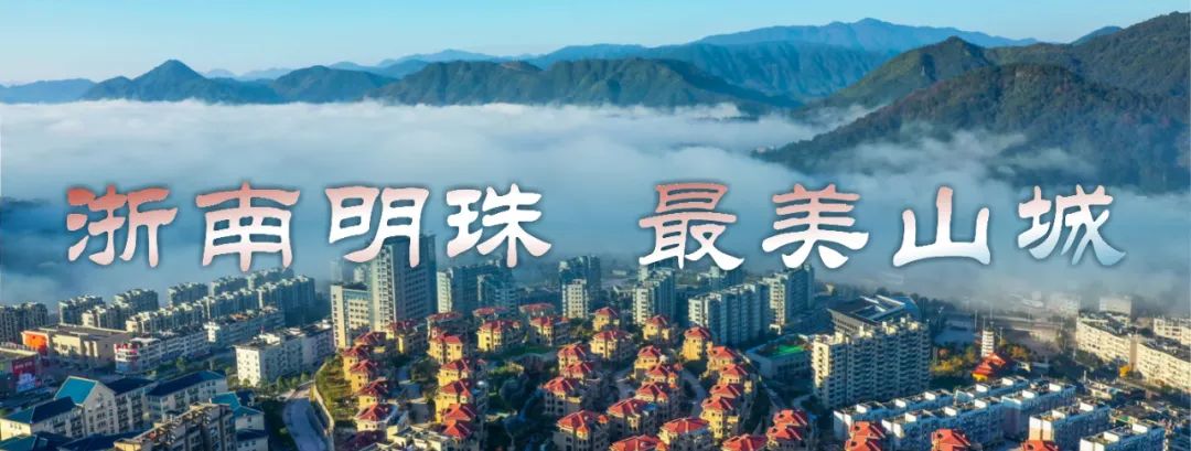 一起跨越看泰顺 · 共富故事 | 泰顺“十百千计划”惠及3000低收入农户