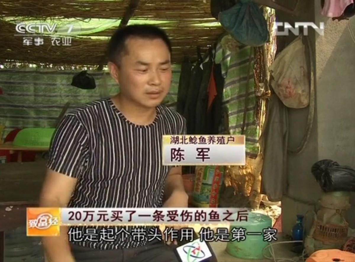鲶鱼养殖合作_致富经鲶鱼养殖技术视频_cctv7 致富经鲶鱼养殖
