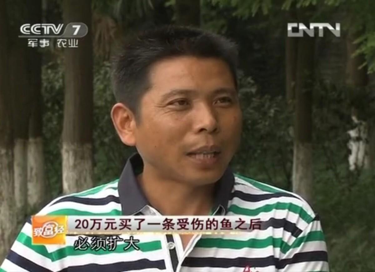 鲶鱼养殖合作_cctv7 致富经鲶鱼养殖_致富经鲶鱼养殖技术视频