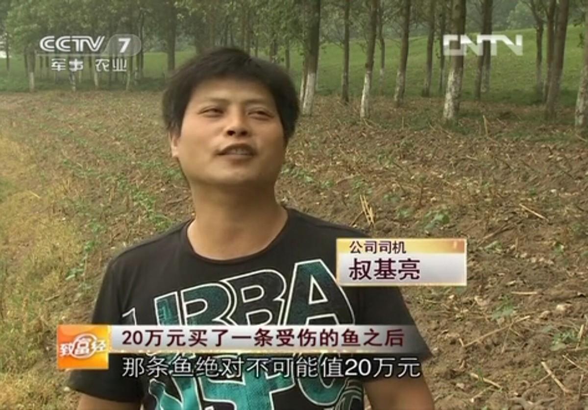 cctv7 致富经鲶鱼养殖_鲶鱼养殖合作_致富经鲶鱼养殖技术视频