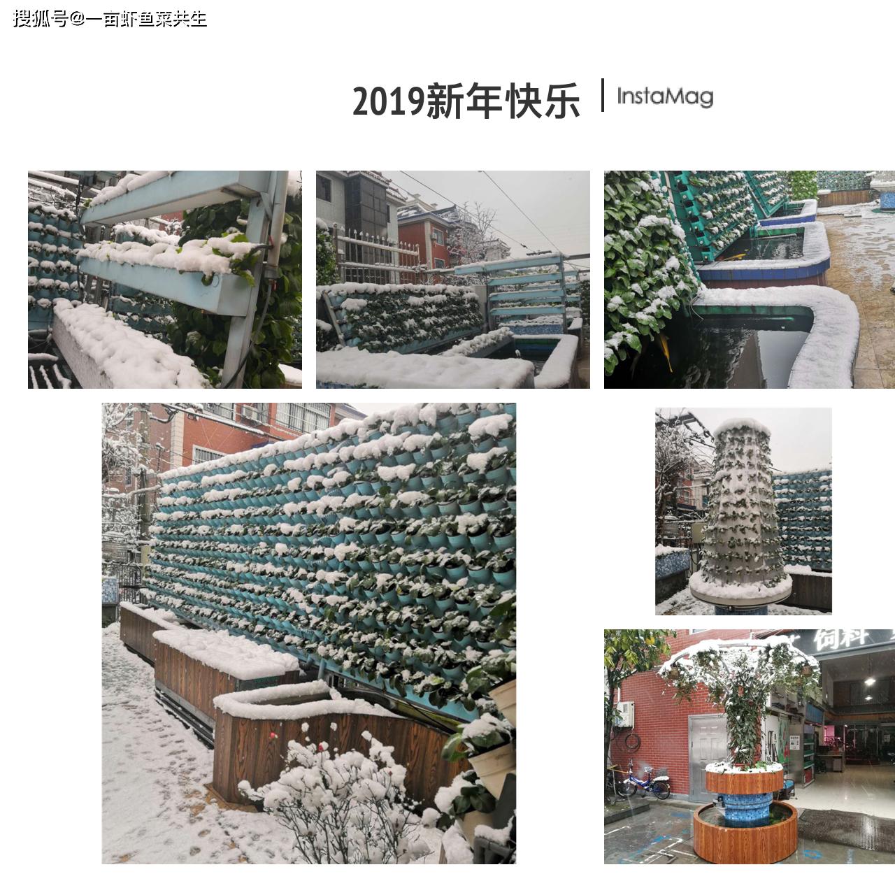 锦鲤鱼养殖技术视频播放_致富经锦鲤鱼养殖视频_锦鲤养殖场视频