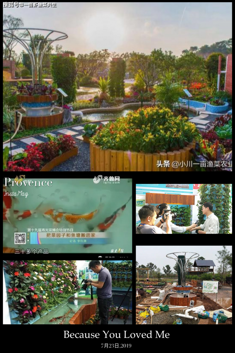 锦鲤养殖场视频_致富经锦鲤鱼养殖视频_锦鲤鱼养殖技术视频播放
