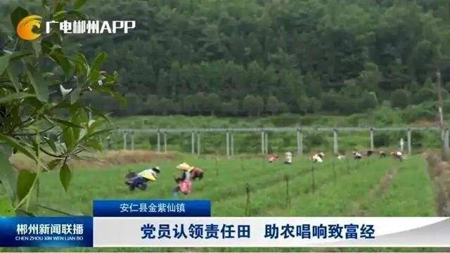 致富经官方网址_致富官方网址是什么_致富网致富