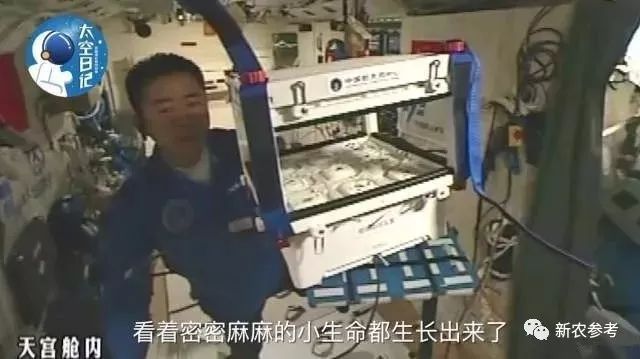 致富小视频_致富经cctv7视频2017_cctv致富经视频全集