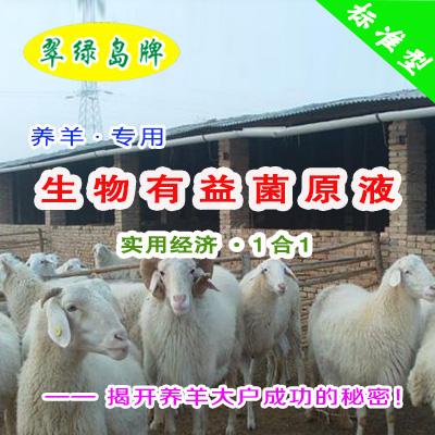 养羊喂什么?放养羊和圈养羊饲料问题?