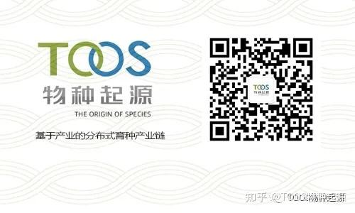 山稻谷种植技术_山上稻谷种植技术视频_山稻种植技术视频