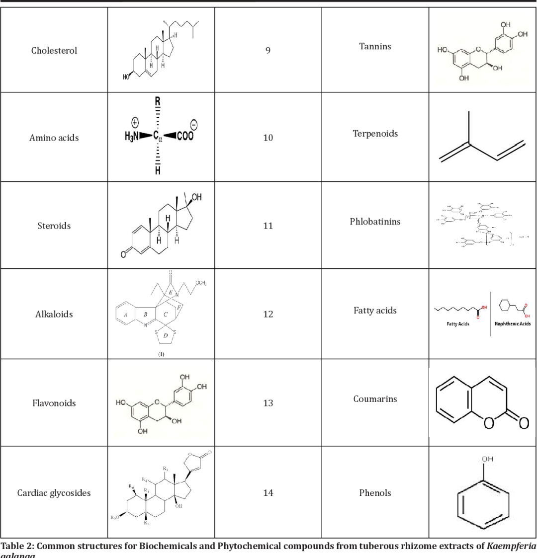 沙荆种植技术_荆北新区pk沙北新区_荆树怎么栽