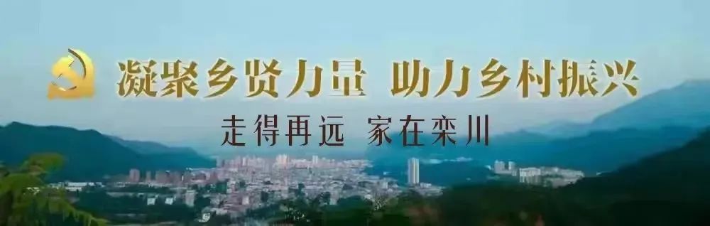 栾川县多方联动 积极推进“人人持证、技能洛阳”建设工作