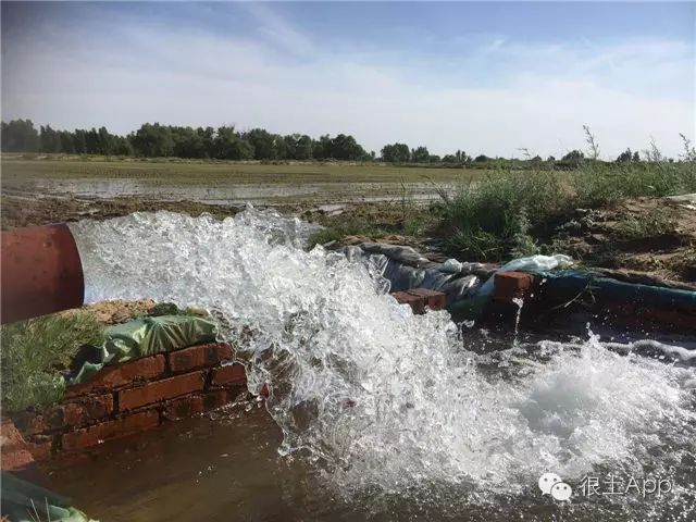 荆树怎么栽_荆北新区pk沙北新区_沙荆种植技术