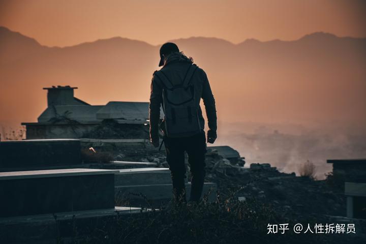 白杨树的养殖技术_白杨树怎么养_白杨树种植技术