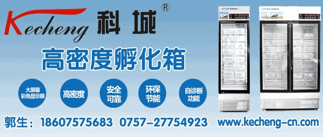 养殖金钱龟赚钱吗_养殖金钱龟前景如何_金钱龟养养殖技术
