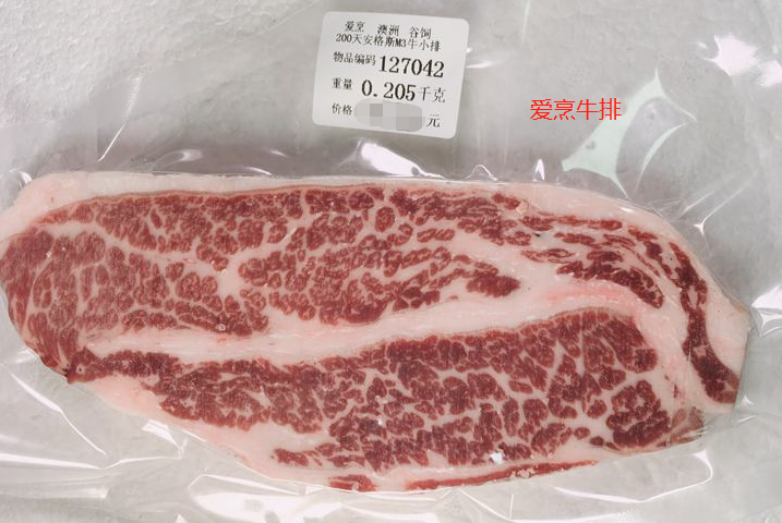 白杨树的养殖技术_白杨树怎么种成活高_白杨树种植技术