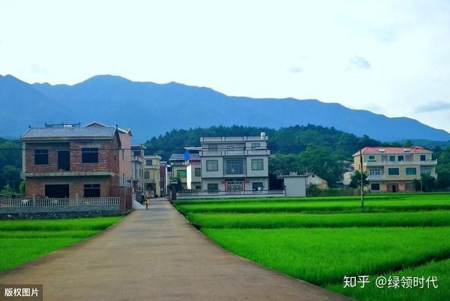 贫困户种植中药材致富_农民勤劳致富药材种植补贴_2020年药材种植补贴