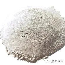 猪粪养殖蚯蚓的技术配方_猪粪养蚯蚓可行性报告_蚯蚓养殖用猪屎可以吗
