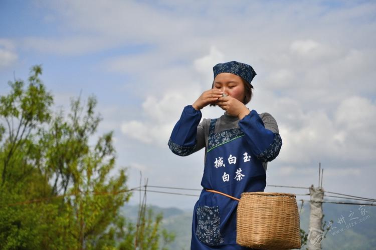 忠县富豪榜_致富经重庆忠县_重庆忠县首富