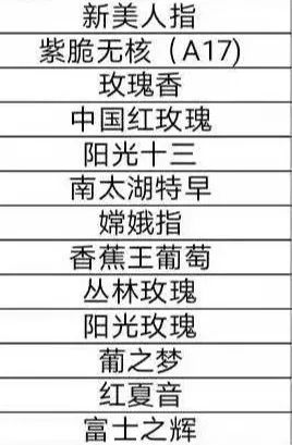 大红提葡萄苗_红提怎样种植_红提葡萄种植技术视频