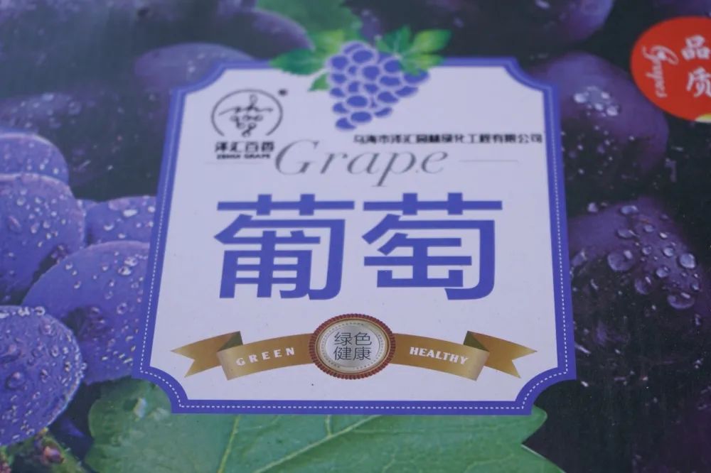 红提怎样种植_红提葡萄种植技术视频_大红提葡萄苗
