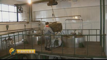 种植首乌技术要求_首乌种植技术_种植首乌技术有哪些