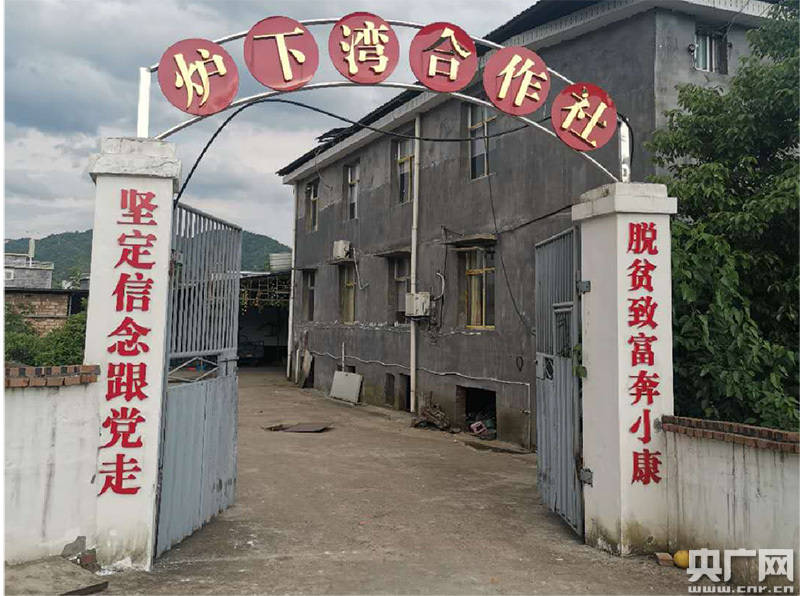 致富经江西人物_江西致富新能源科技有限公司_致富经江西红抽