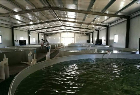 海水网箱养殖技术_海水养殖网箱技术要求_海水养殖场使用网箱养殖的方法
