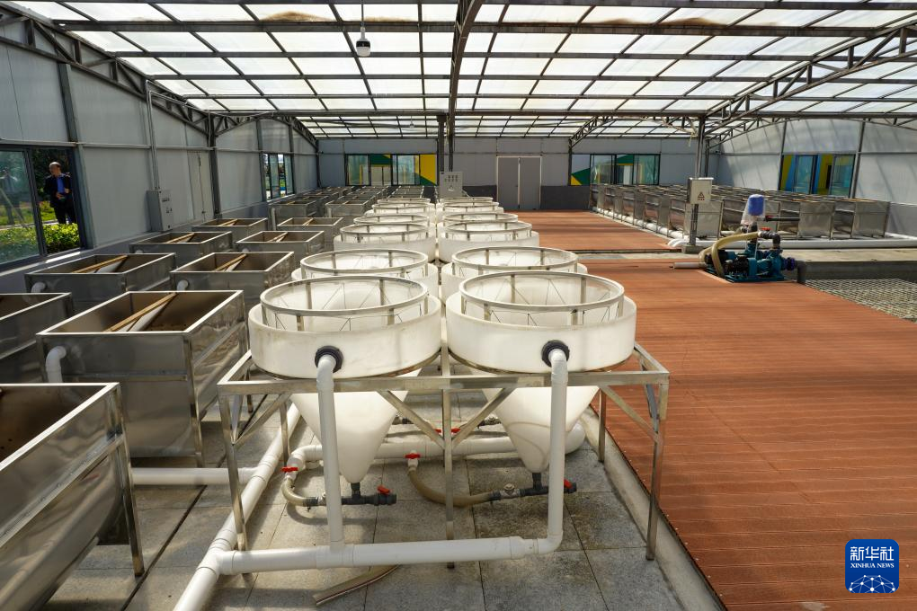 新品种、新业态、新经验——来自推进渔业现代化建设现场会的一线观察