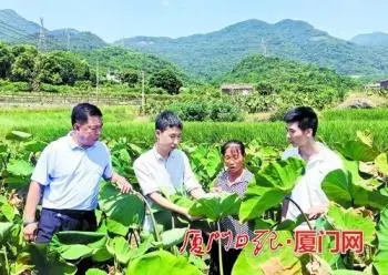 科技特派员带来“致富经”厦门市坚持人才下沉科技下乡服务“三农”