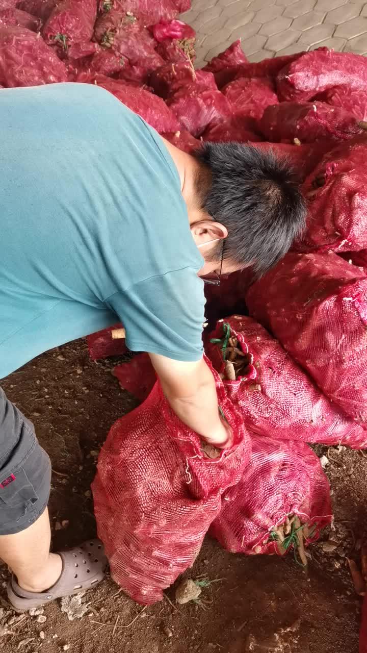 致富经养豆虫养殖视频_豆虫养殖的投资和效益_致富经豆虫养殖技术