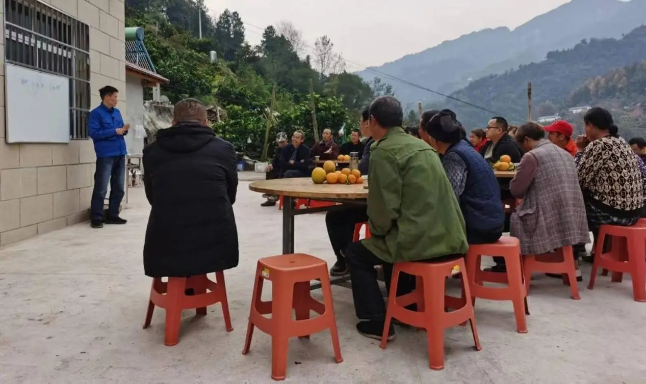 种植致富果视频_致富经果树种植视频_致富创业网搞种植水果