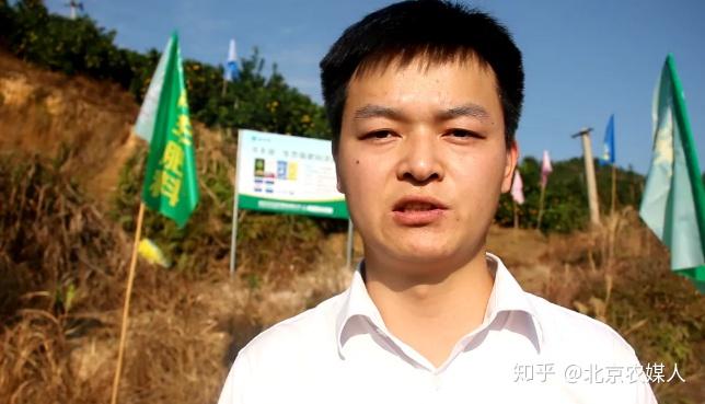 种脐橙利润_脐橙种植致富案例_致富案例种植脐橙视频