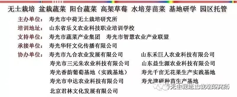 池塘荷花养殖技术_荷花养殖池塘技术要求_荷花池塘种植方法