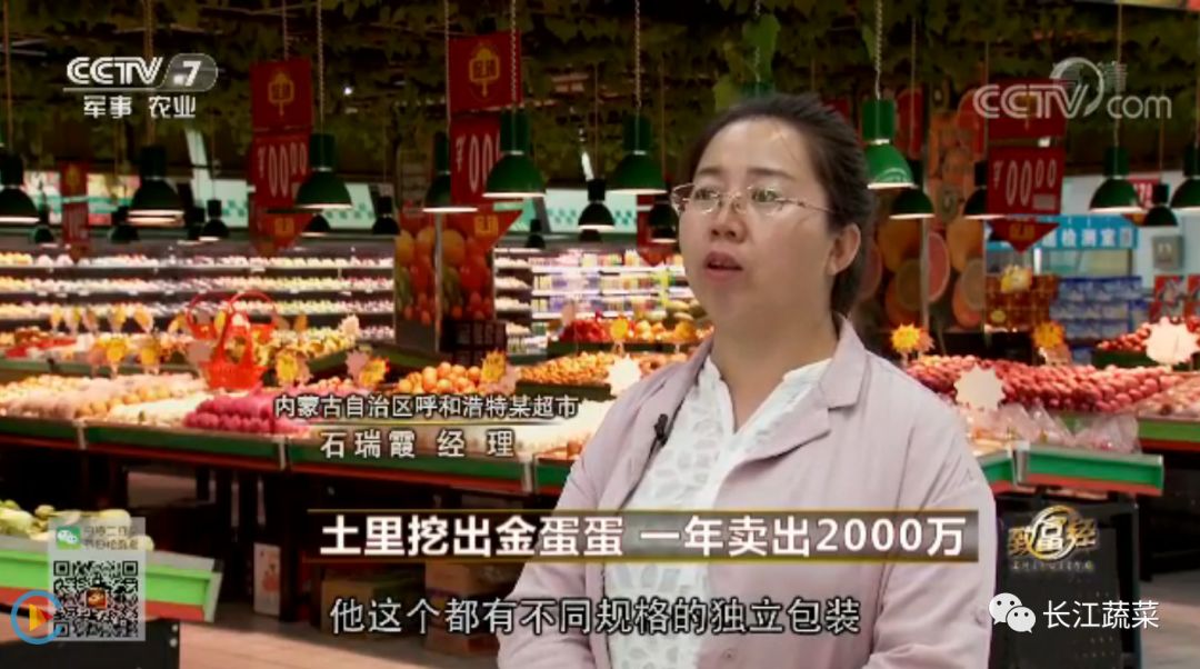 马铃薯晒干致富经_干制马铃薯_晒干的马铃薯片要怎么吃