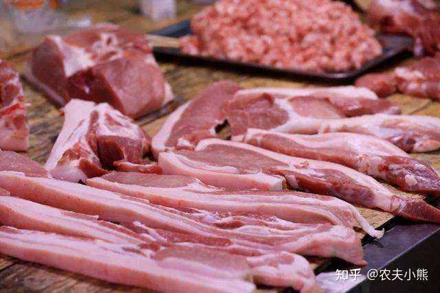猪肉养殖致富技巧_致富猪肉养殖技巧和方法_致富猪肉养殖技巧视频