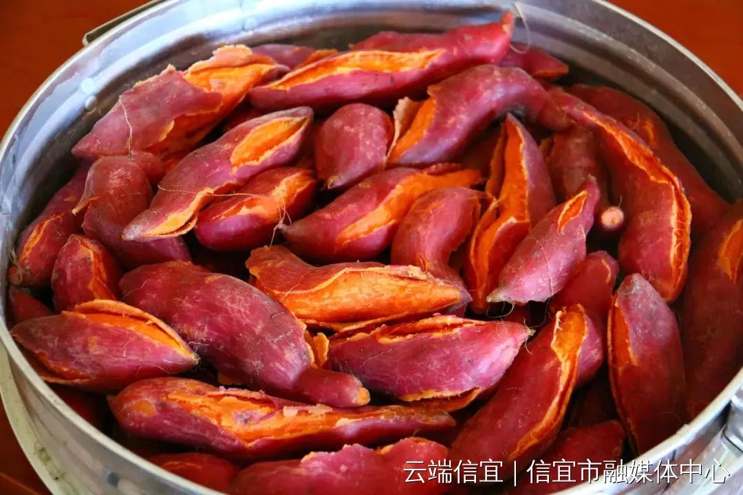 信宜种植什么致富_信宜蔬菜种殖基地_信宜农作物