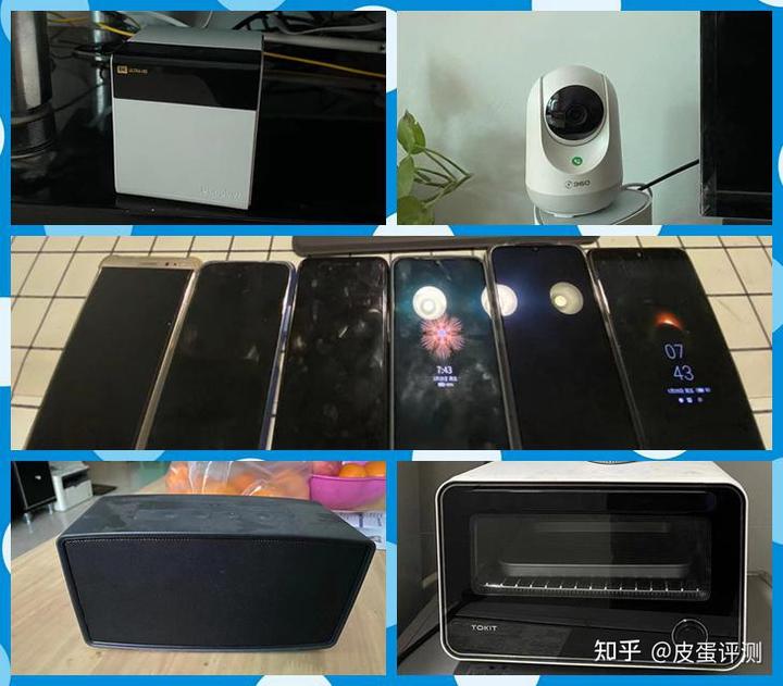 双母配对的养殖技术_公母画眉鸟配对方法_蛋鸽养殖双母配对
