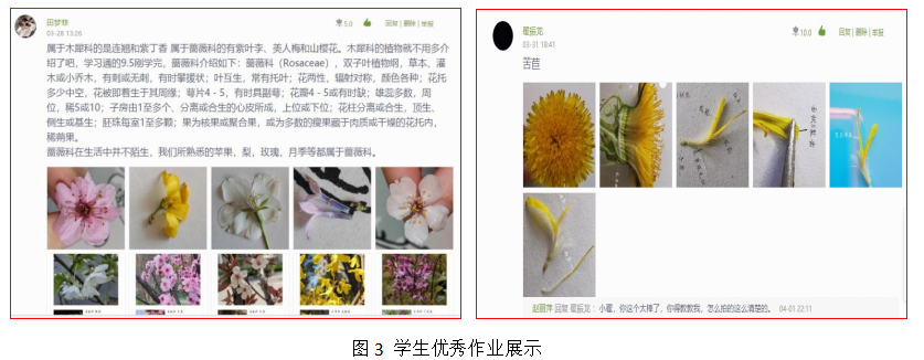 成效作物优质推广经验总结_推广农作物_优质作物推广成效及经验