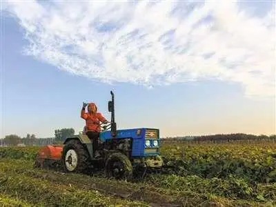 致富红薯加工干什么用的_致富经红薯干加工_红薯干加工厂赚钱吗