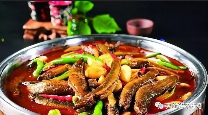是什么理由吸引了养殖户的目光？