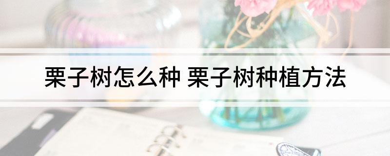 栗子树怎么种