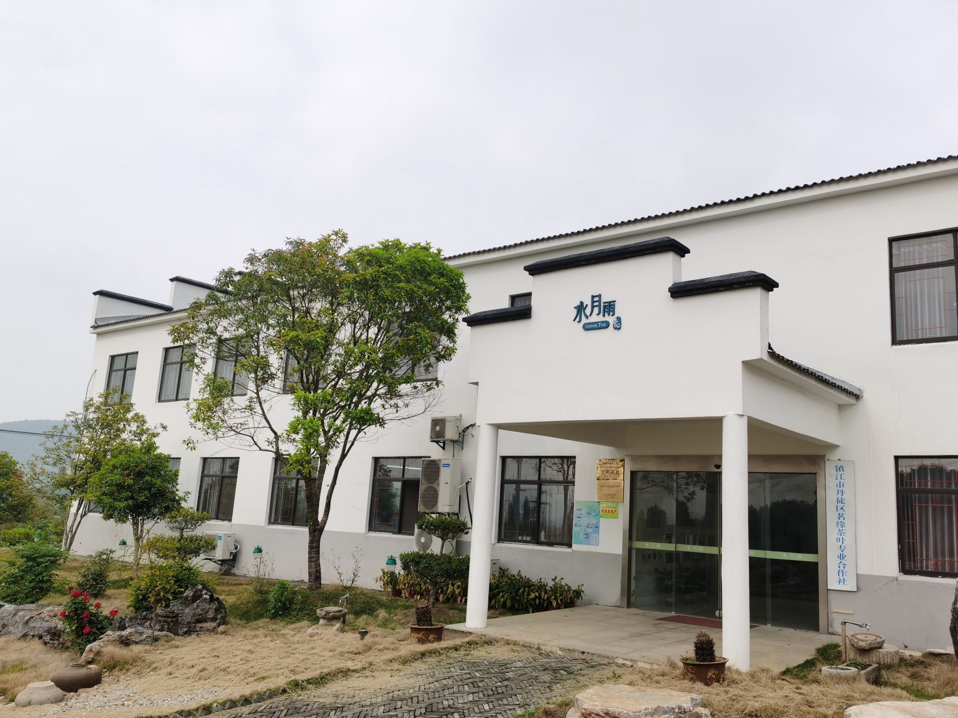 农民种植茶叶致富_致富茶叶种植农民视频_农村种植茶叶赚钱吗