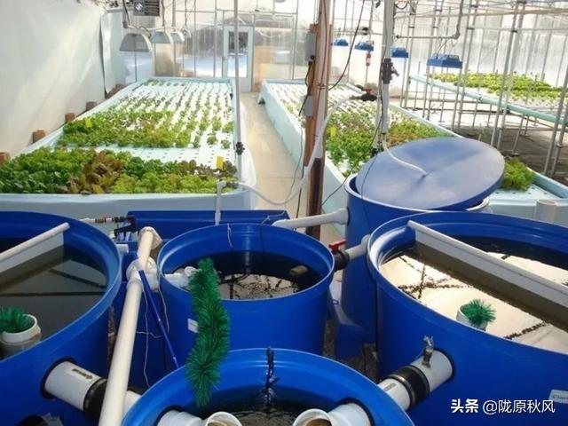介绍13种面向未来，最前沿，农业种植模式
