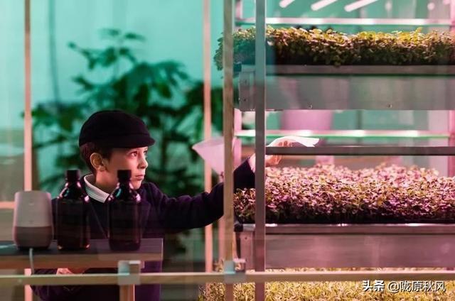 介绍13种面向未来，最前沿，农业种植模式
