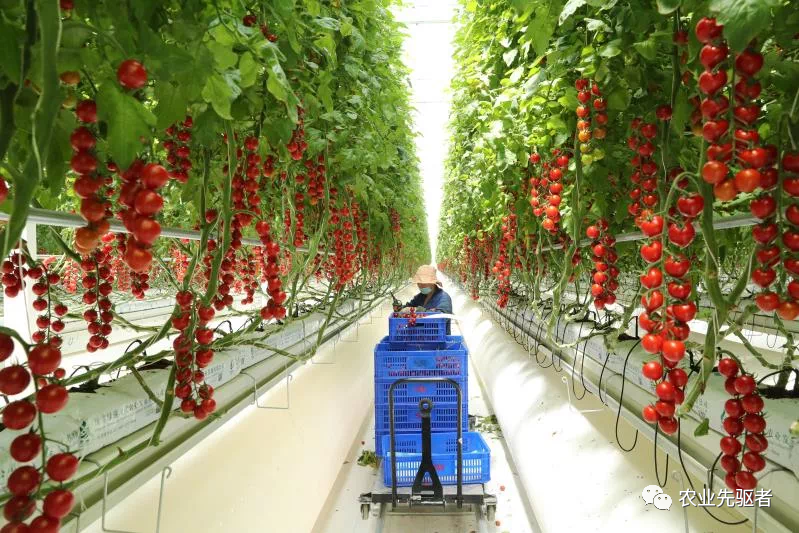 补助致富养殖农村申请项目范文_农村养殖扶贫项目补贴申请报告_农村致富项目养殖补助申请