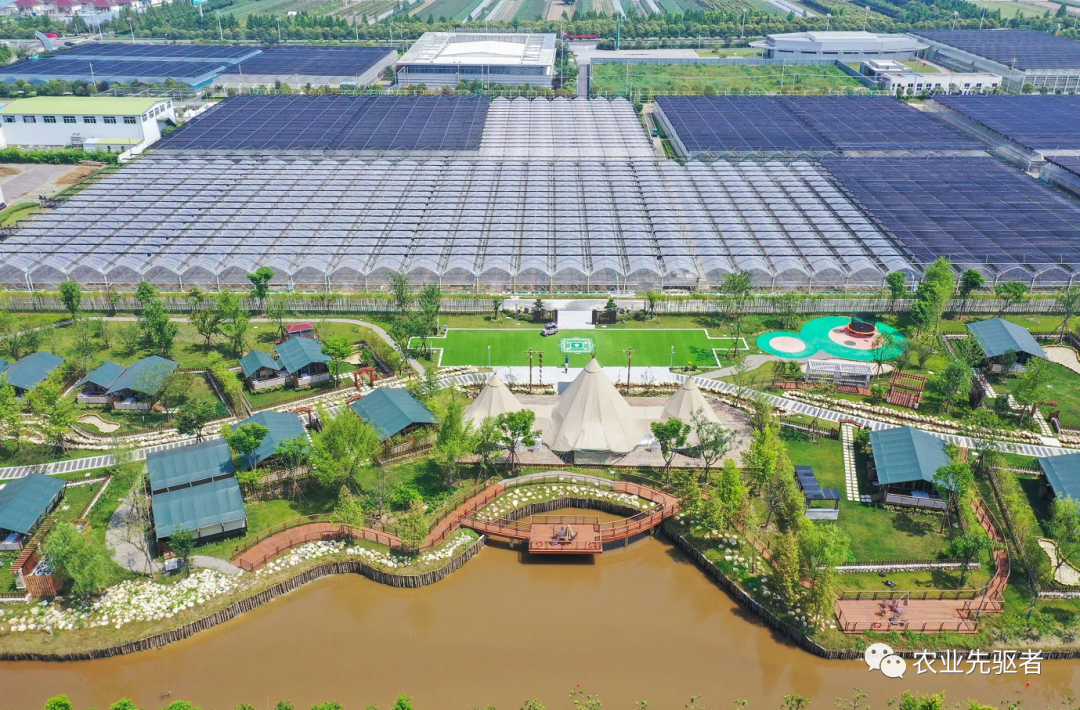 补助致富养殖农村申请项目范文_农村致富项目养殖补助申请_农村养殖扶贫项目补贴申请报告
